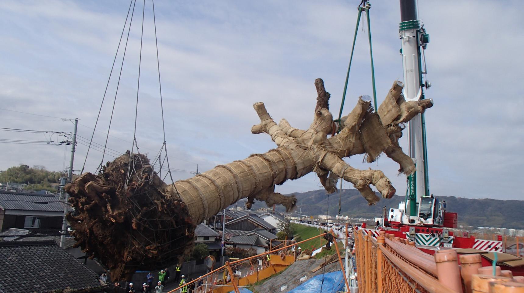 木津川橋本地区上流堤防強化工事