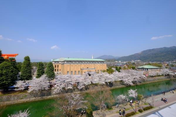 桜が咲き始めました！